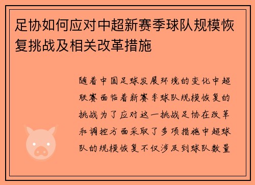 足协如何应对中超新赛季球队规模恢复挑战及相关改革措施 足协如何应对中超新赛季球队规模恢复挑战及相关改革措施